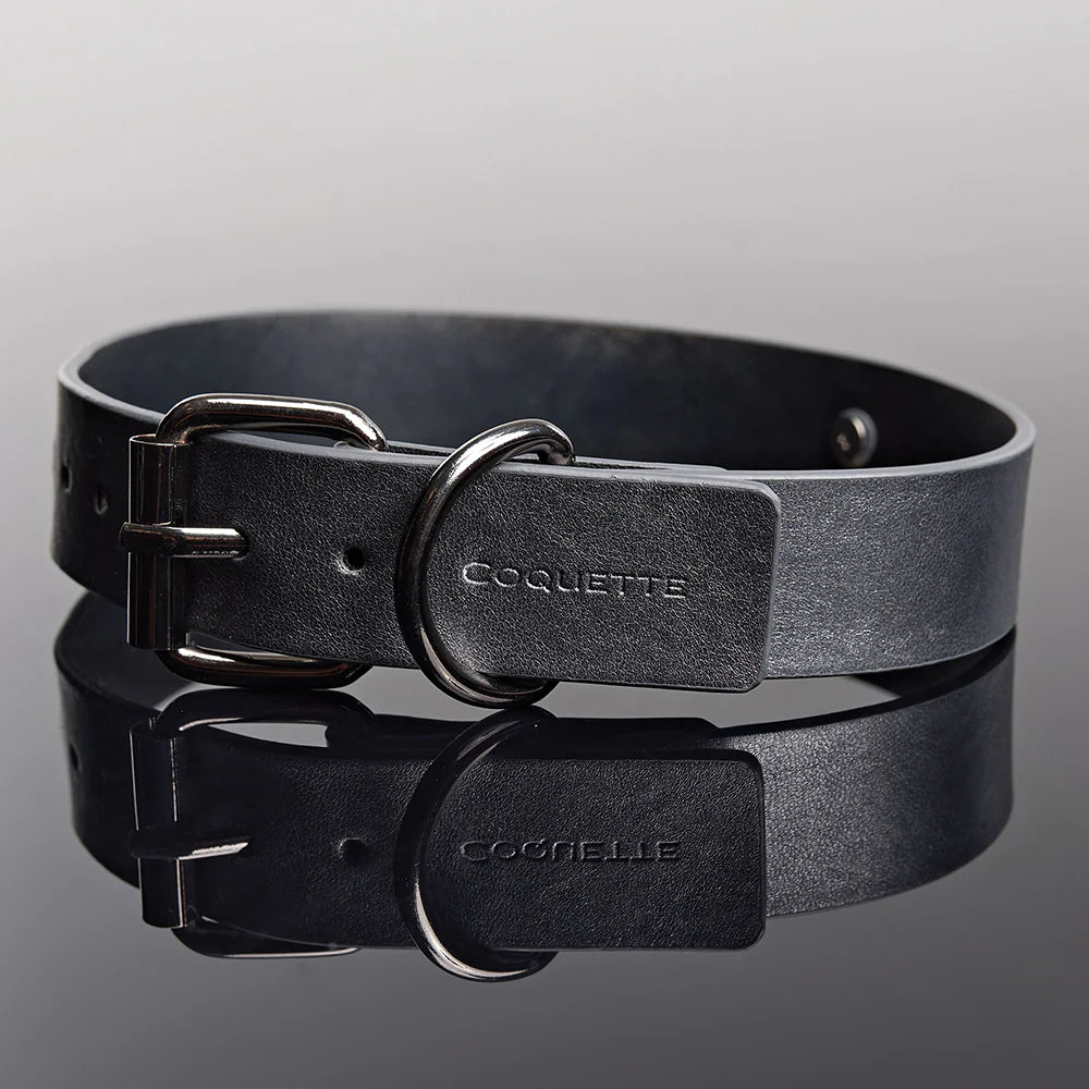 Coquette Pleasure Collar & Leash Grey