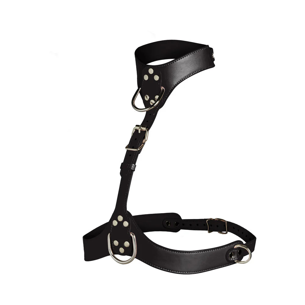 Master Series Vixen Chest Harness Black
